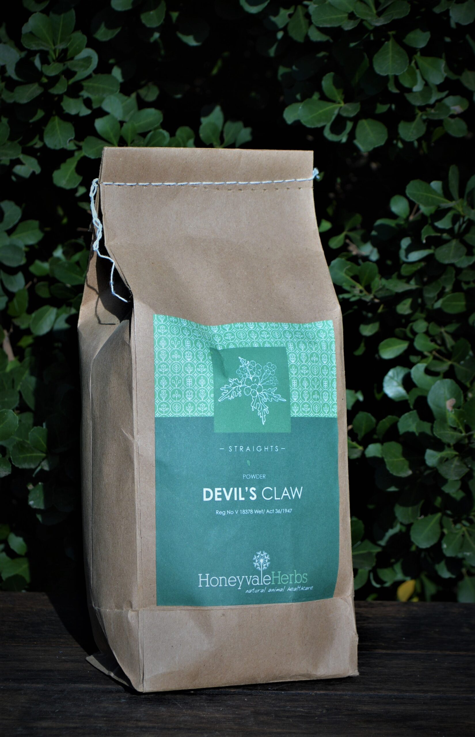 Devil's Claw - Image 2