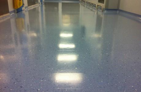 Mop & Shine - Image 3