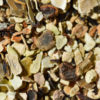 Deep Sea Kelp - Image 2