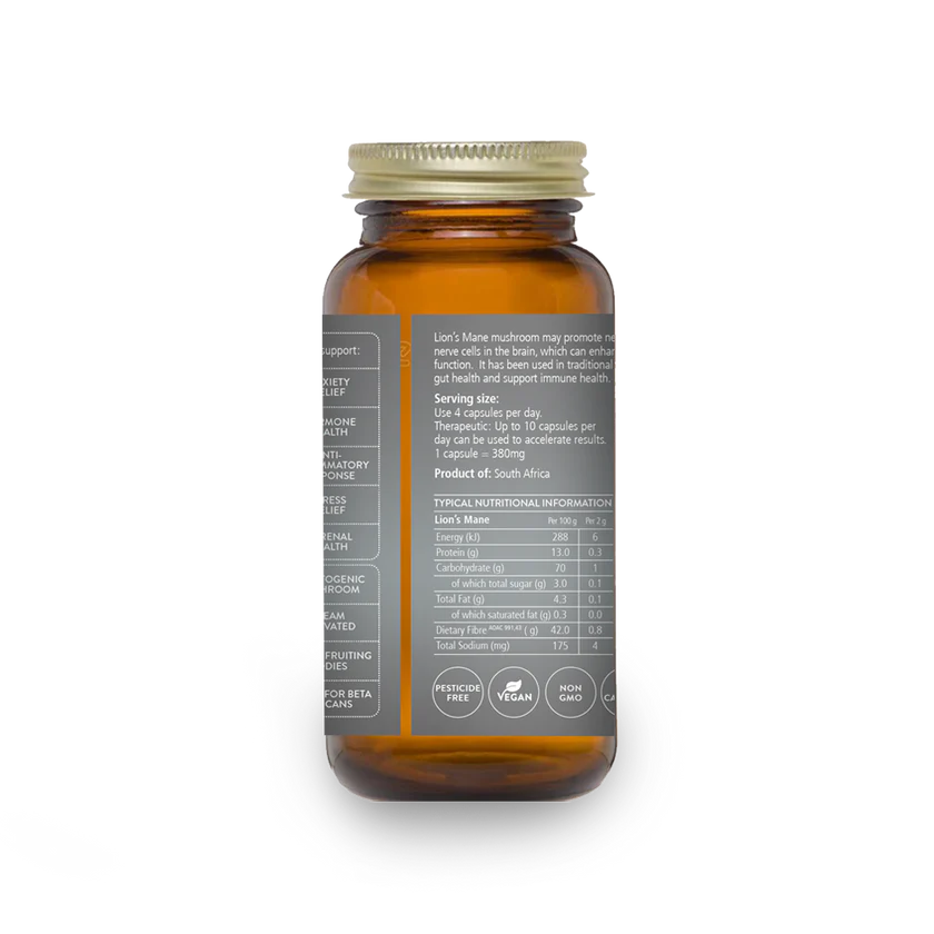 Lion's Mane Mushroom - Certified Organic - Image 3