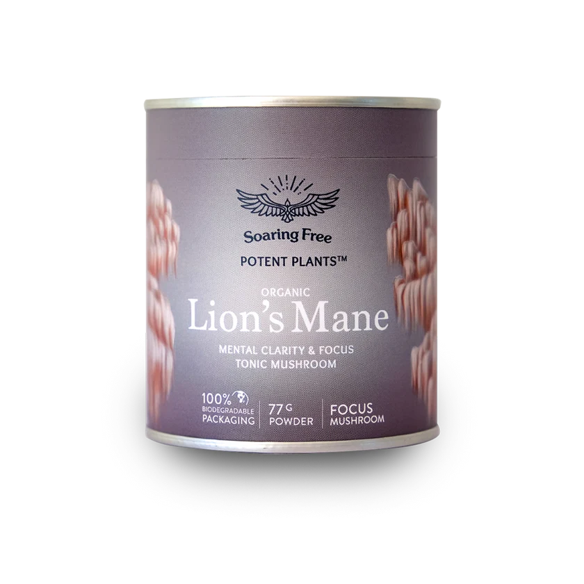 Lion's Mane Mushroom - Certified Organic - Image 2