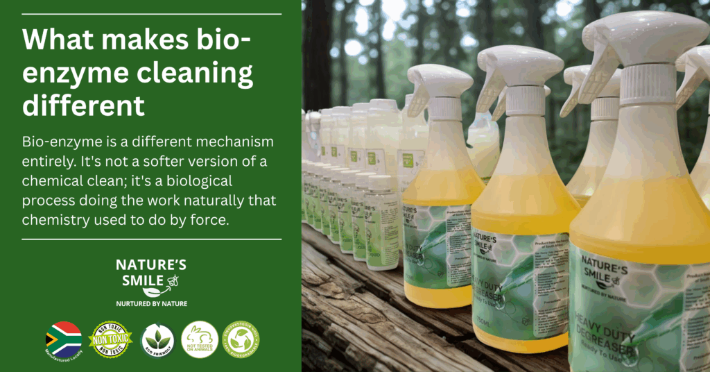 bio-enzymes cleaning