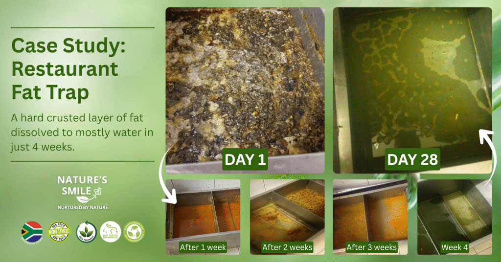 fat-trap cleaning